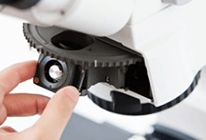 多功能材料显微镜图片