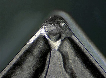 体视显微镜图片