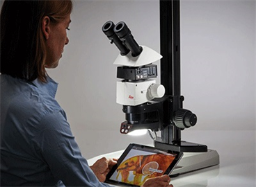 常规型体视显微镜图片